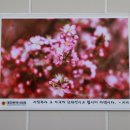 시의회 화장실 이미지