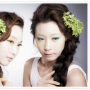 렉스헤어라인