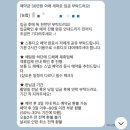 11500-5-20-04 | 웨딩 04. 제주 스냅 예약 후기 (미대생 스냅 x 무르 스튜디오 • 미무르 패키지)