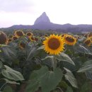 진안군농업기술센터 이미지