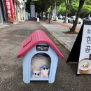 예담축산 이미지
