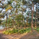 호룡곡산산림욕장 네이버블로그