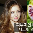 노니