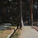 홍성 대전지방 검찰청 | 2019년 겨울 모임 / 홍성 홍주읍성, 안면도자연휴양림 및 수목원, 꽃지해변,