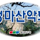 권만희1 이미지