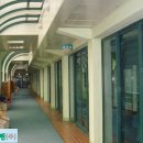 영훈초등학교 이미지