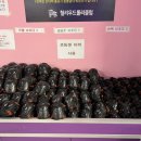 롤러장 알바 후기 | 이색 알바 | 헐리우드 롤러클럽