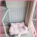 소중하개 | 부모 마음 편한 애견유치원 소중하개 솔직 후기