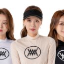 파크골프 입문 이미지