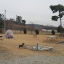 애견 파라독스 펜션 네이버블로그