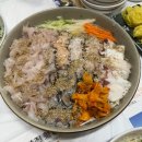 영진애견 | [강릉] 영진 횟집 : 애견 동반 가능한 블루리본 물회&amp; 횟집 내돈내산 후기