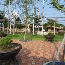 이효석길 이미지