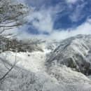 [겨울 제주도 힐링집단상담] 이미지