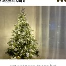 상아지네 이미지