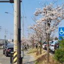 기배역사공원 이미지