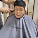 에페스토즈 시저스