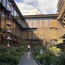 ⑲ 교토 에이스호텔 Ace Hotel Kyoto
