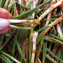 채수농장 이미지