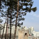 하비투스(Habitus) | 헌법계몽의 시대 : 노련한 국민 헌법주의 시민이 되다