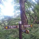 제 117차 정기산행 비래암산(670m)/만산(976m) 화천 (2015년 9월20일) 이미지