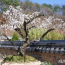 남사-16 이미지