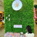테츠청라루비점