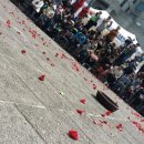 동굴에 평화의 동백이 이미지