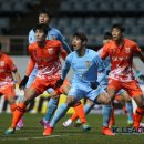 캡틴제주 이미지