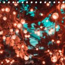 텐즈경희한의원 이미지