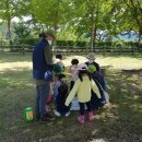 삼운사유치원 이미지