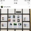 개인생활펫 네이버블로그