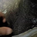 한수중학교 이미지