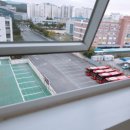 스타하우스 이미지