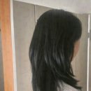 봄 헤어살롱