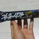 자유시간 - 김포시 마송택지개발지구 | 자유시간
