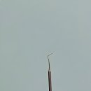 서울예쁜얼굴치과의원 이미지