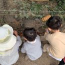 세정농장 이미지