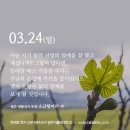 소금항아리 이미지