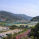 남해스포츠파크 야구장 이미지