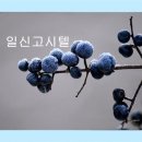일신고시원