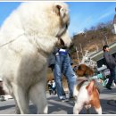 어쭈구리