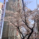 여수 야경명소 ‘해상케이블카’ 후기 (위치·요금·주의사항)