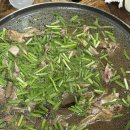 약나무마실 이미지