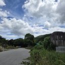 테크로밸리1로1L | [지리산 바래봉 등산코스] 초보자도 가능한 바래봉 최단 코스! 운봉 용산리 원점회귀 후기