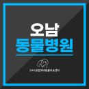 오남동물병원 네이버블로그