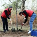 그린자동차랜드 이미지