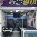 종일활어 이미지