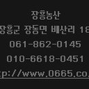 유일농산 티스토리