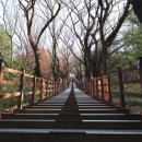 수봉자연학습원 | 인천 미추홀구 숭의동 수봉공원 탐방 후기, 산책로 조성 좋은 근린공원 주차장 정보!