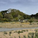 서산댁 | 충남 촌캉스 서산댁 펜션 솔직후기